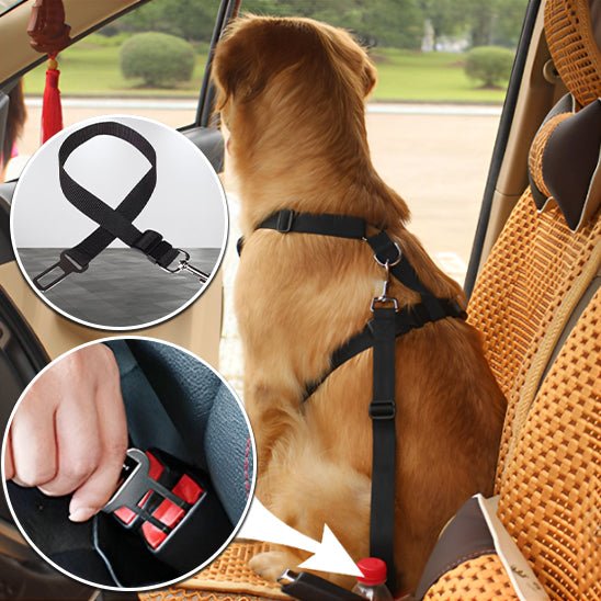 laisse pour chien - sécurité - Mon chien confortable