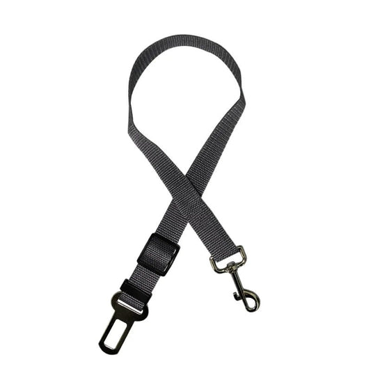 laisse pour chien - sécurité - Mon chien confortable