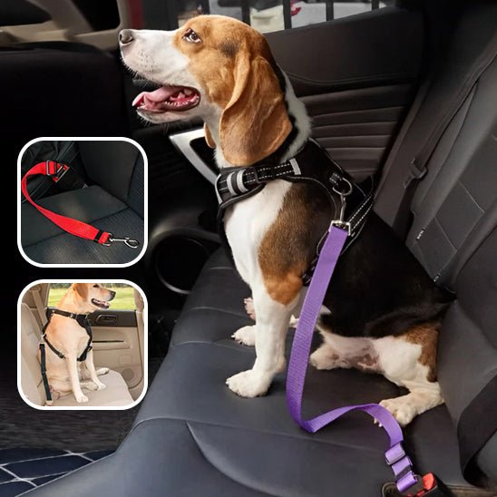 laisse pour chien - sécurité - Mon chien confortable