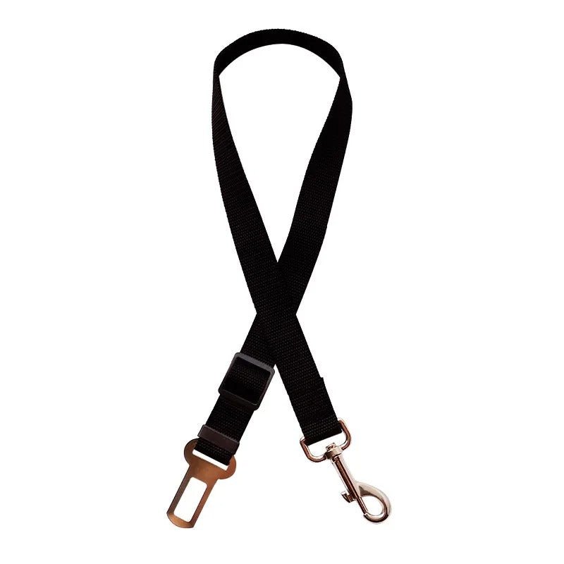 laisse pour chien - sécurité - Mon chien confortable