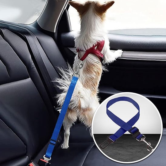 laisse pour chien - sécurité - Mon chien confortable