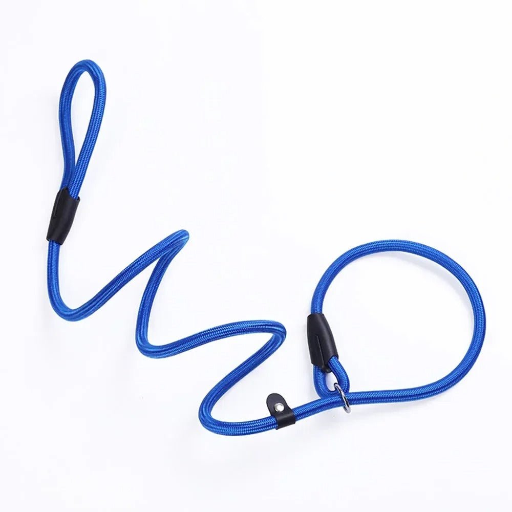 laisse pour chien UL en nylon - Mon chien confortable