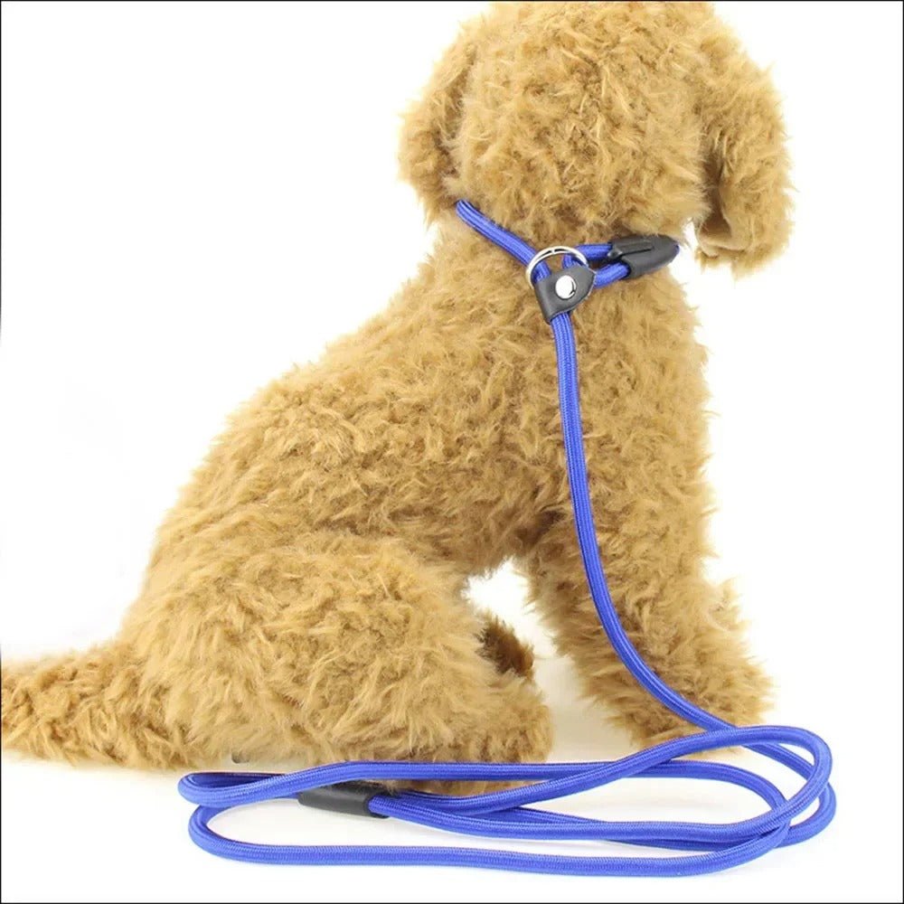 laisse pour chien UL en nylon - Mon chien confortable