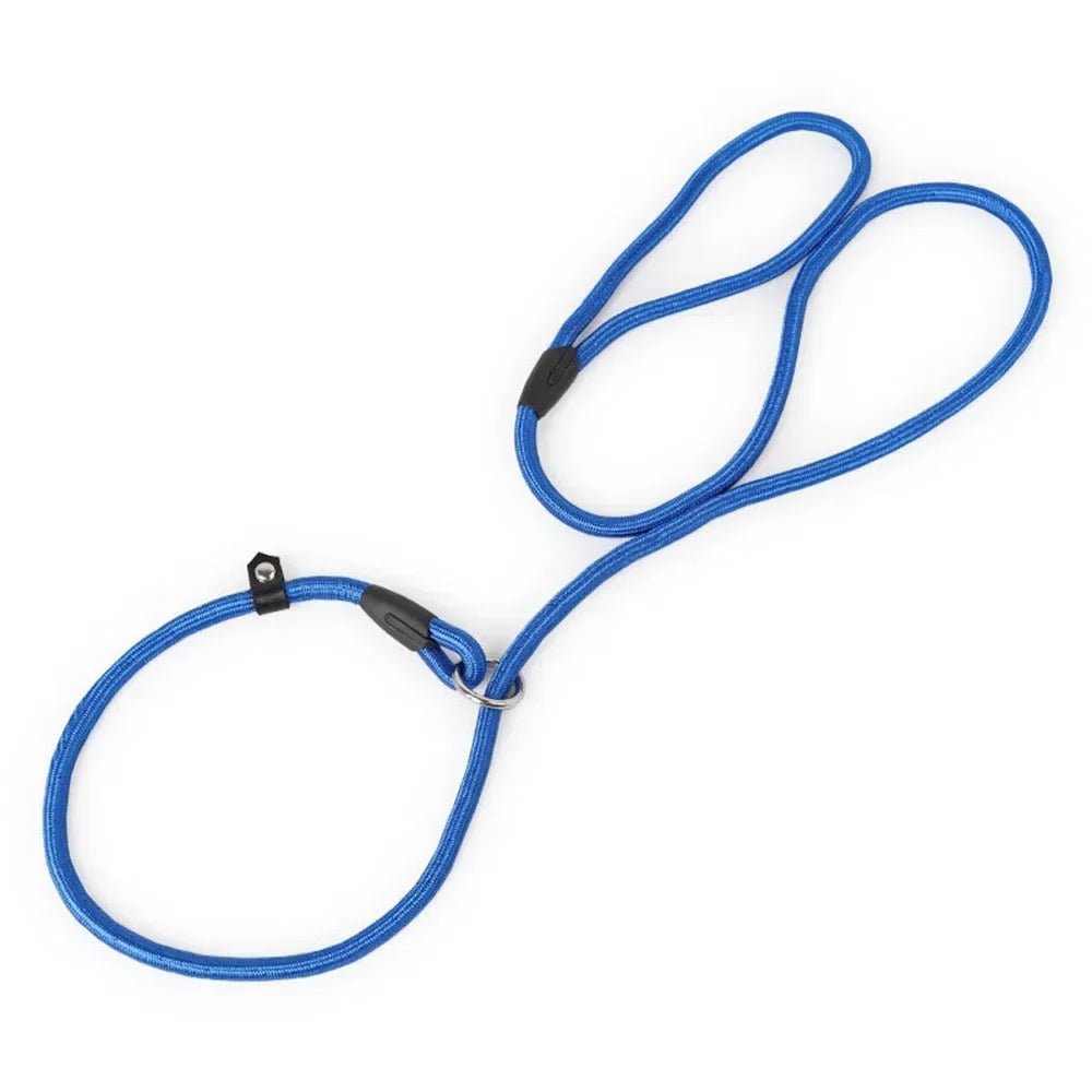 laisse pour chien UL en nylon - Mon chien confortable