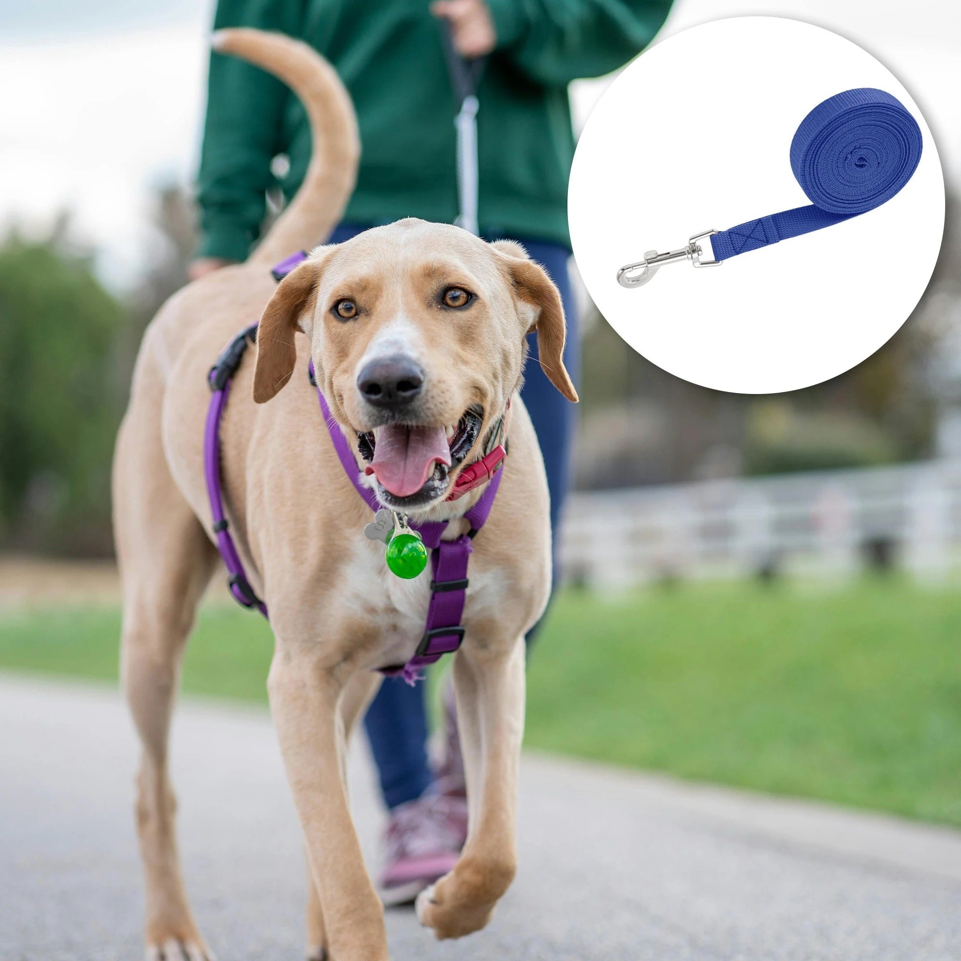 laisse pour chien - Uxcell - Mon chien confortable