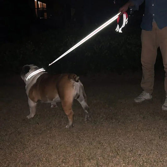 laisse pour chiens - réfléchissante - Mon chien confortable