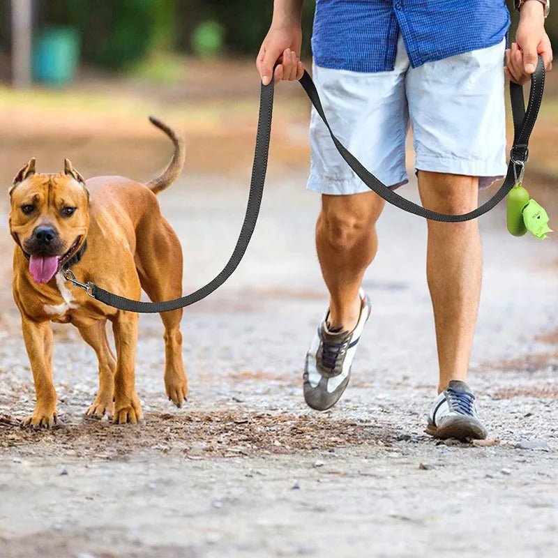 laisse pour chiens - réfléchissante - Mon chien confortable