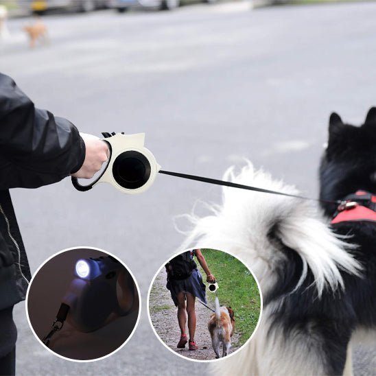 laisse retractable chien - Mon chien confortable