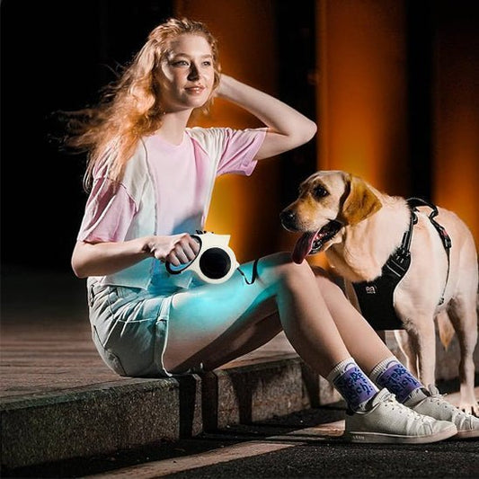 laisse retractable chien - Mon chien confortable