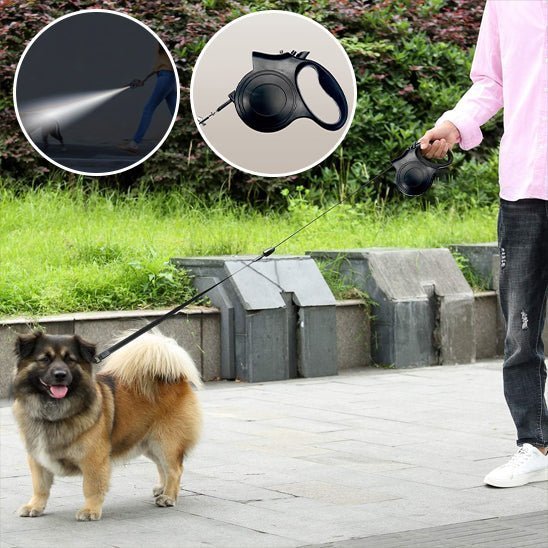laisse retractable chien - Mon chien confortable