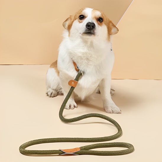laisses pour chien - Mon chien confortable