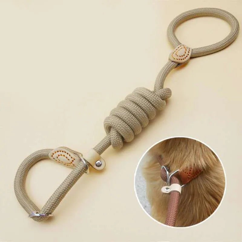 laisses pour chien - Mon chien confortable