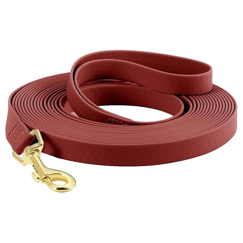laisses pour chien - Mon chien confortable