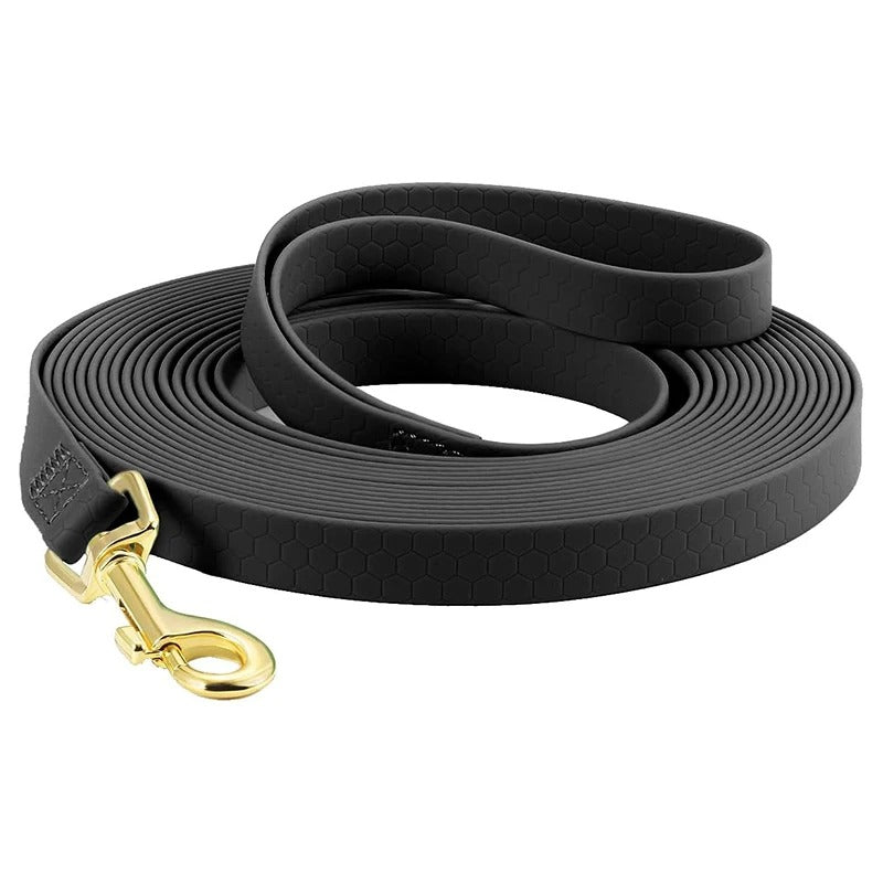 laisses pour chien - Mon chien confortable