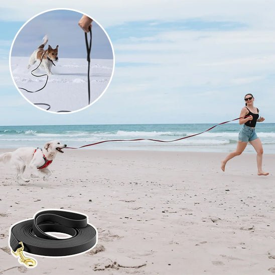 laisses pour chien - Mon chien confortable