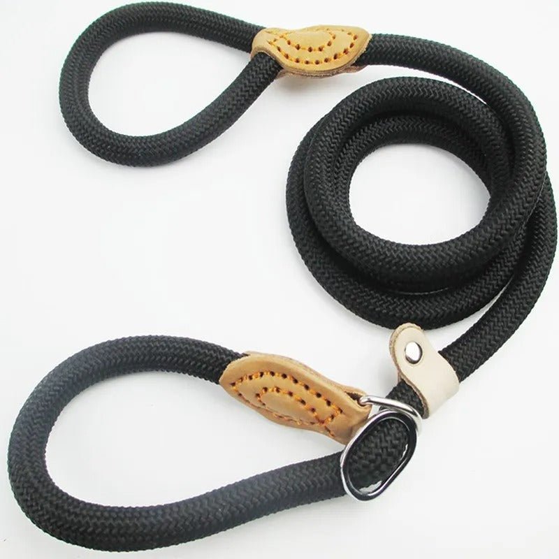 laisses pour chien - Mon chien confortable