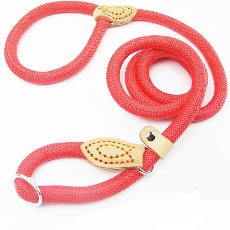 laisses pour chien - Mon chien confortable