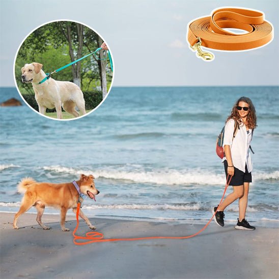 laisses pour chien - Mon chien confortable
