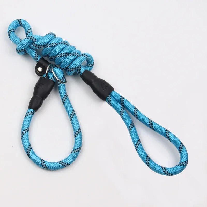 laisses pour chien - dressage - Mon chien confortable