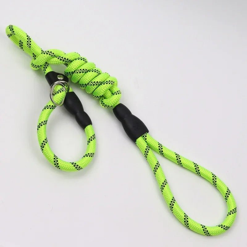laisses pour chien - dressage - Mon chien confortable
