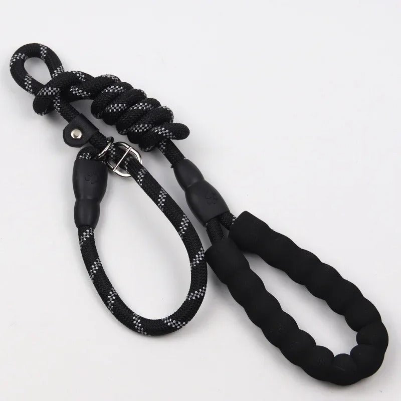 laisses pour chien - dressage - Mon chien confortable