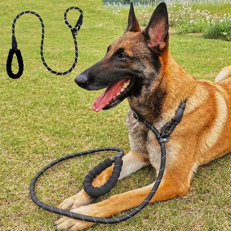laisses pour chien - dressage - Mon chien confortable