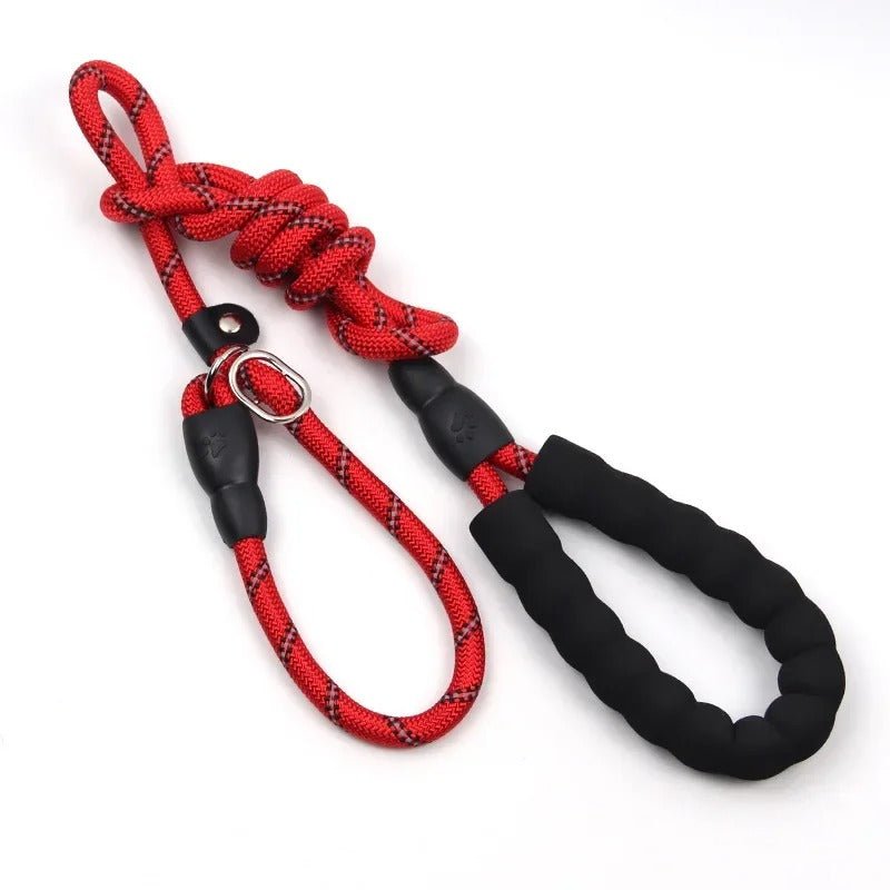 laisses pour chien - dressage - Mon chien confortable