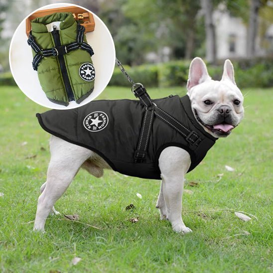 Manteau chien - Hiver - Mon chien confortable