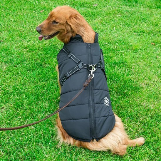 Manteau chien - Hiver - Mon chien confortable