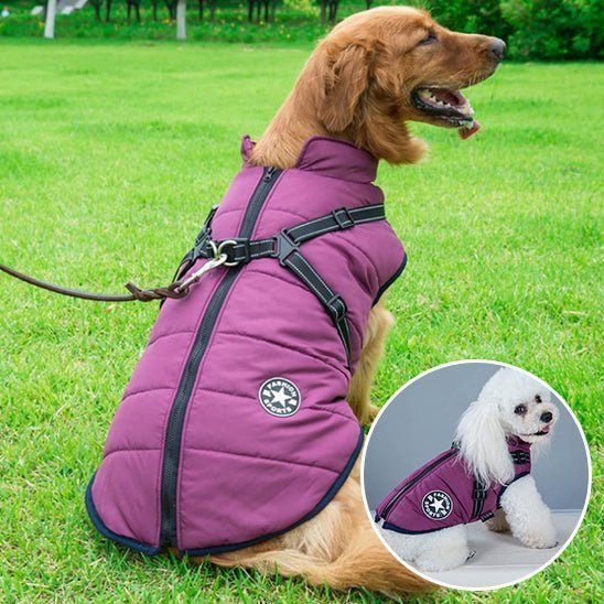 Manteau chien - Hiver - Mon chien confortable