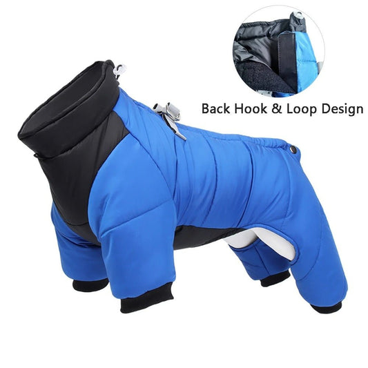 manteau chien - LOOP - Mon chien confortable