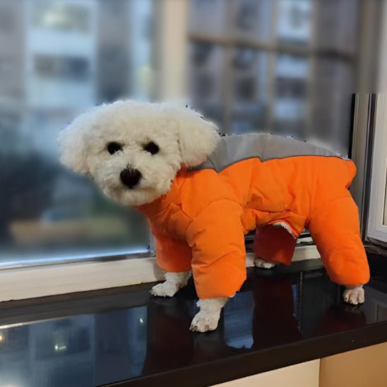 manteau chien - LOOP - Mon chien confortable
