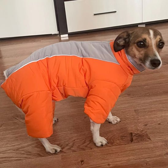manteau chien - LOOP - Mon chien confortable