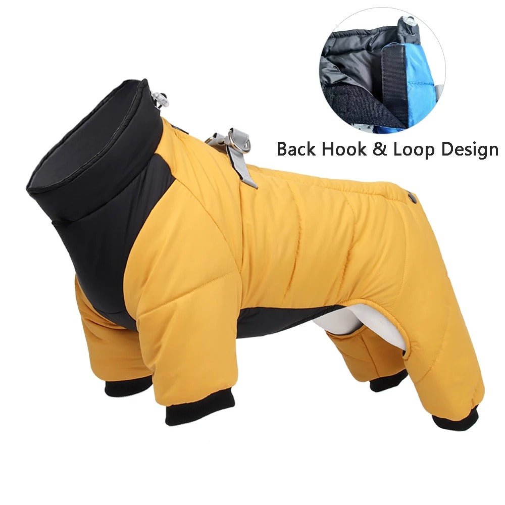 manteau chien - LOOP - Mon chien confortable