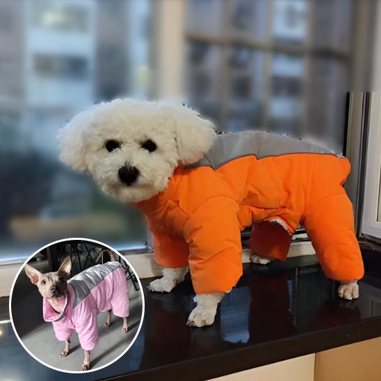 manteau chien - LOOP - Mon chien confortable