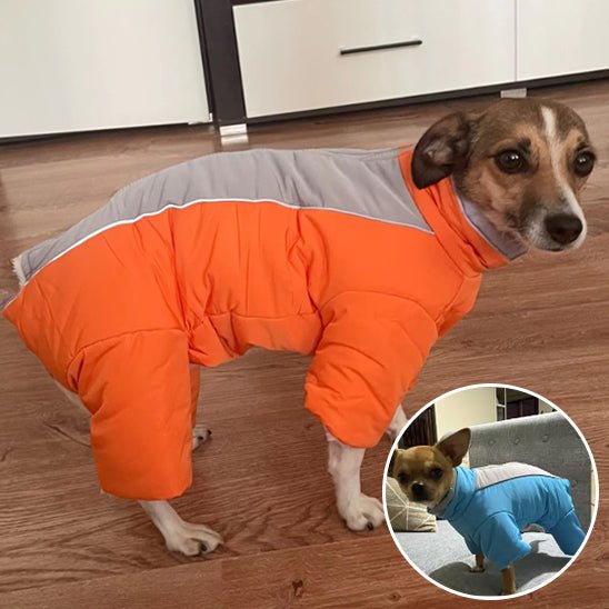 manteau chien - LOOP - Mon chien confortable