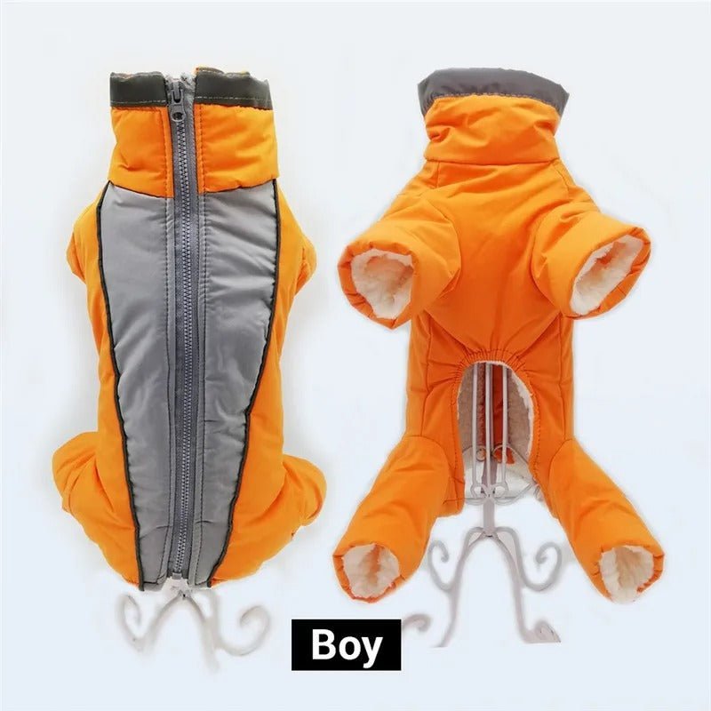 manteau chien - Salopette - Mon chien confortable