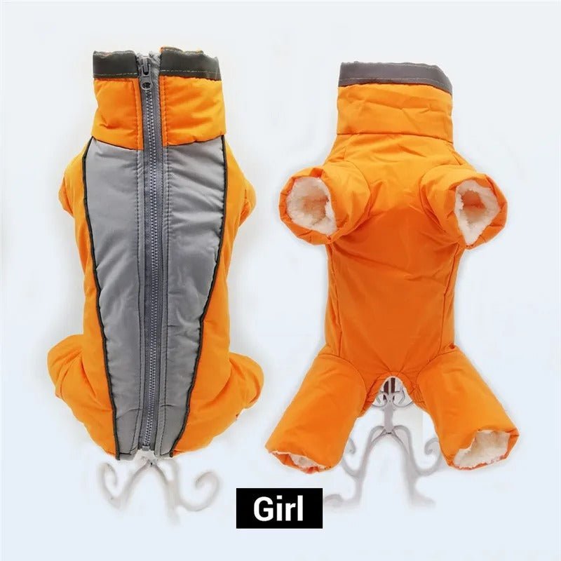 manteau chien - Salopette - Mon chien confortable