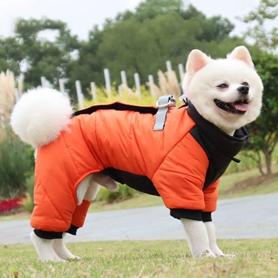 manteau chien - Salopette - Mon chien confortable