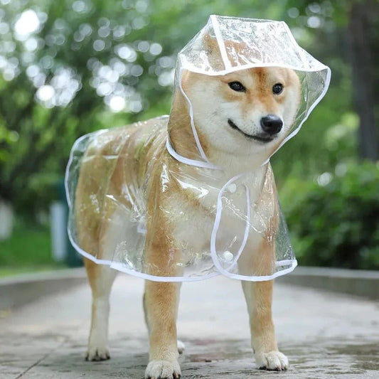 Manteau Imperméable pour Chien - Mon chien confortable