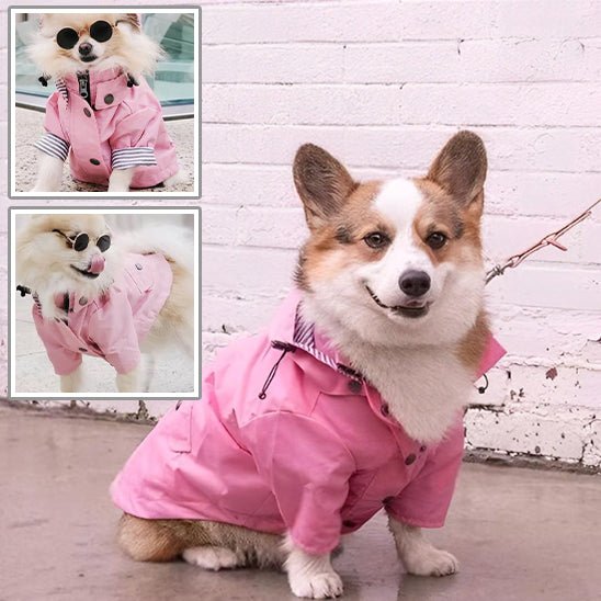 manteau pour chien - Mon chien confortable