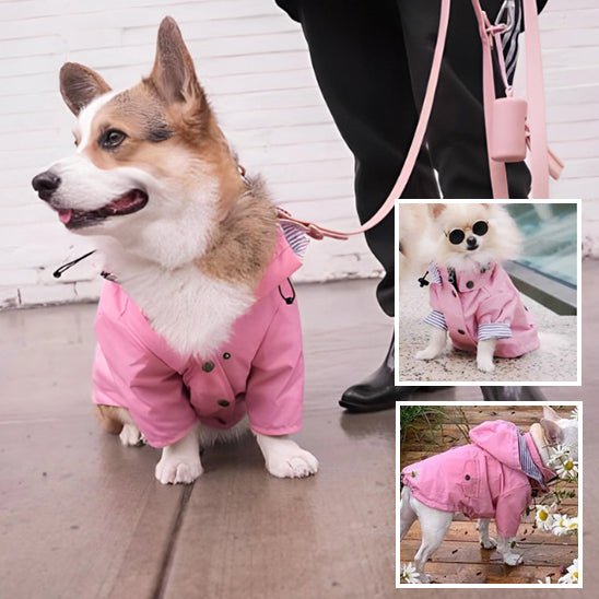 manteau pour chien - Mon chien confortable