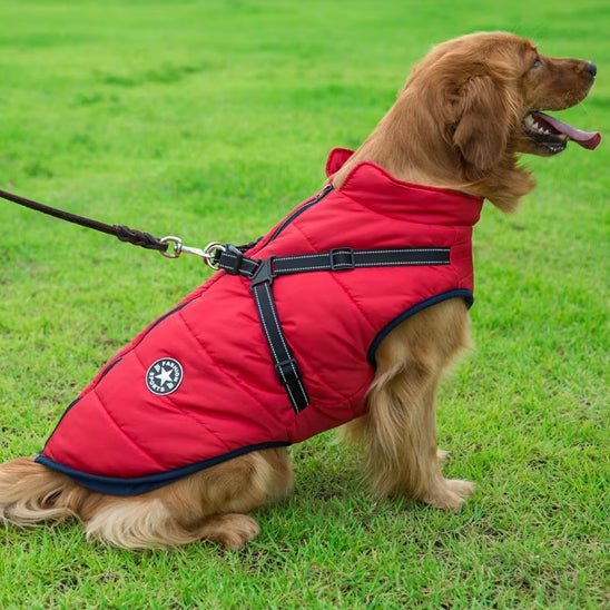 Manteau pour chien - Hiver - Mon chien confortable