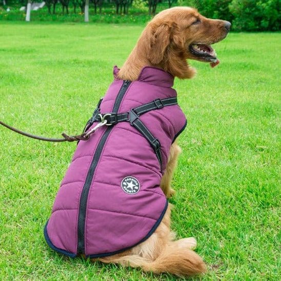 Manteau pour chien - Hiver - Mon chien confortable