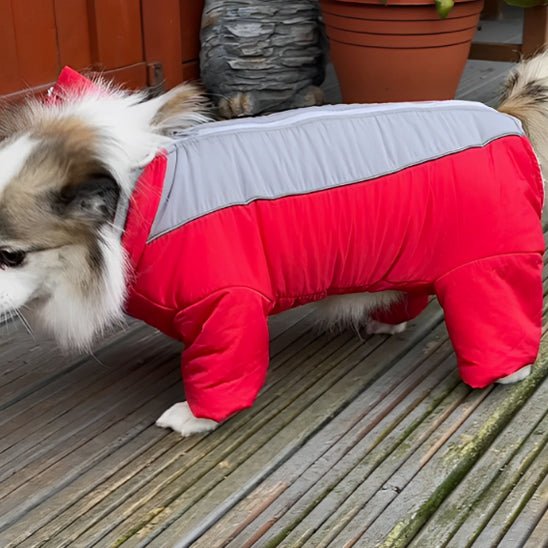 manteau pour chien - LOOP - Mon chien confortable