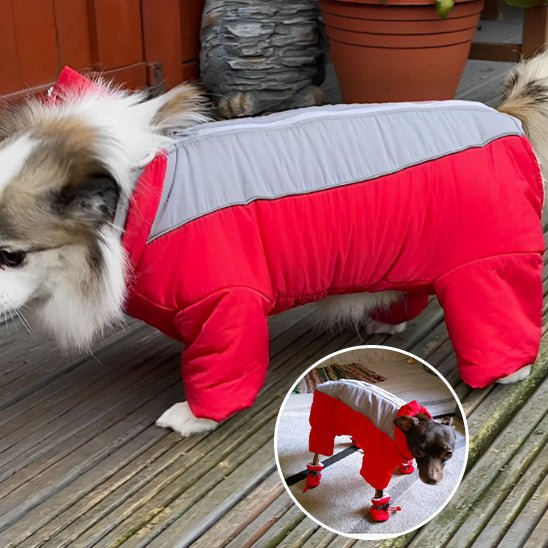 manteau pour chien - LOOP - Mon chien confortable