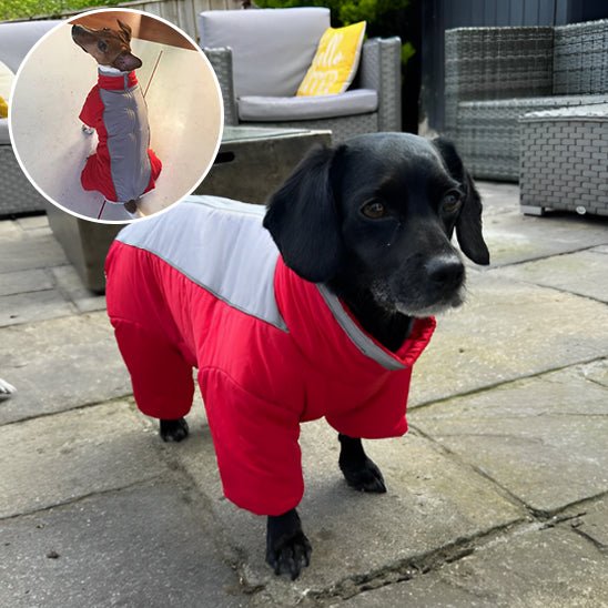 manteau pour chien - LOOP - Mon chien confortable