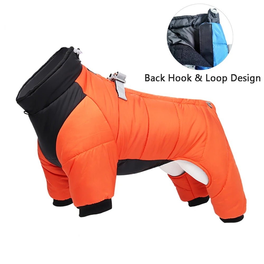 manteau pour chien - LOOP - Mon chien confortable