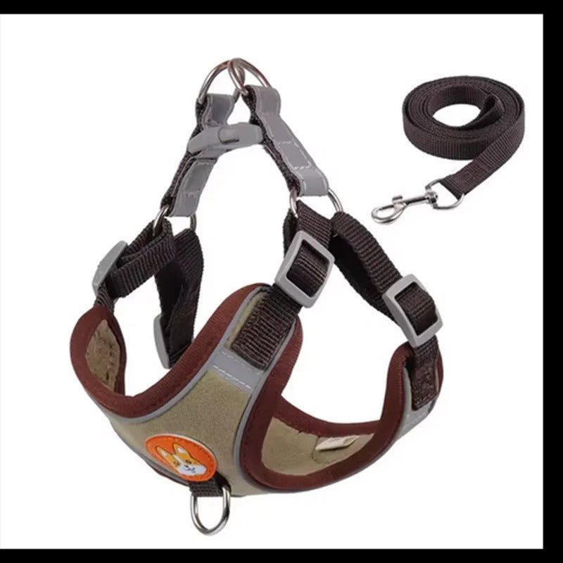 meilleur - harnais - anti - traction - Mon chien confortable