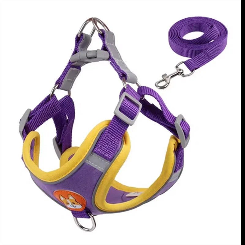 meilleur - harnais - anti - traction - Mon chien confortable